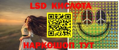 PSILOCYBIN Краснодар