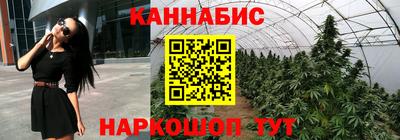 PSILOCYBIN Краснодар