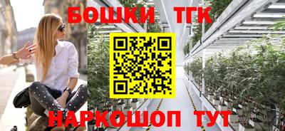 PSILOCYBIN Краснодар