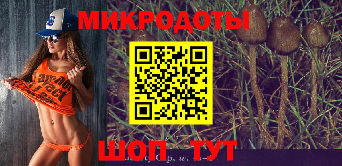 Галлюциногенные грибы прущие грибы Гай