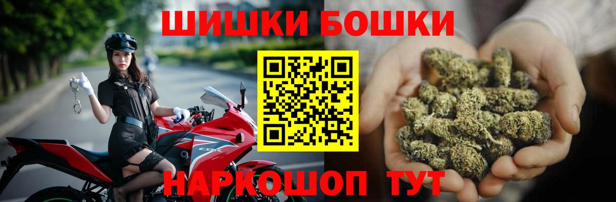 Конопля конопля Гай